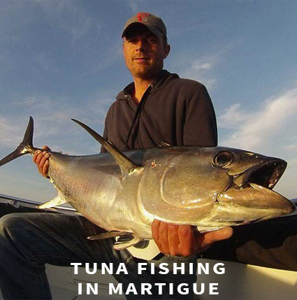 Tuna fishing in Martigue